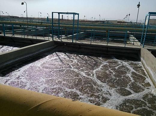 丰满人妻厨房无码69麻豆